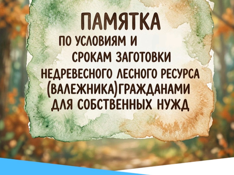 Заготовка валежника.